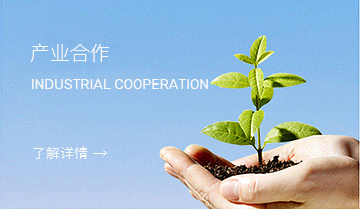 这是描述信息